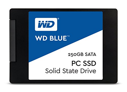WD Blue 250GB PC SSD - SATA 6 Gb/s 2.5 Inch Solid State Drive -  WDS250G1B0A [Old Version]